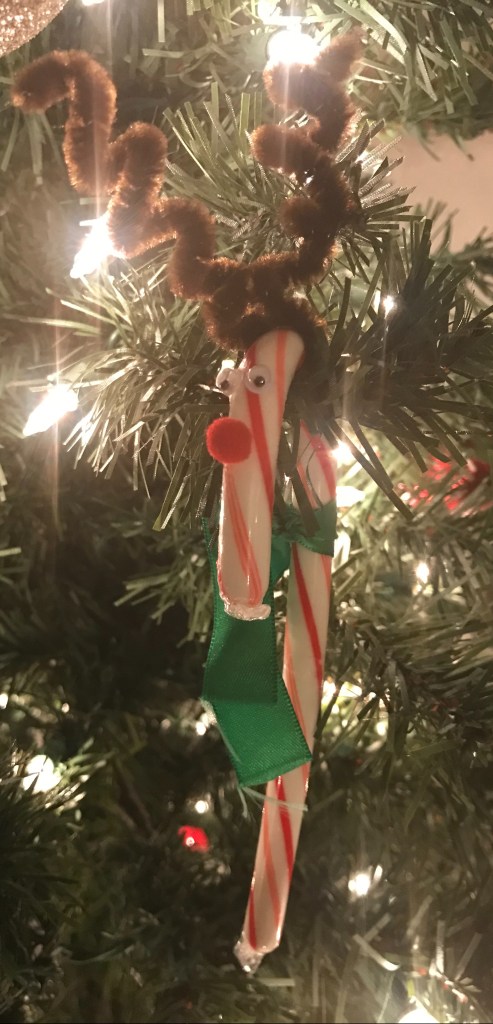 Rudolph The Red Nose Reindeer: Made with a candy cane, chenille pipe cleaners,red felt nose, eyes and a ribbon